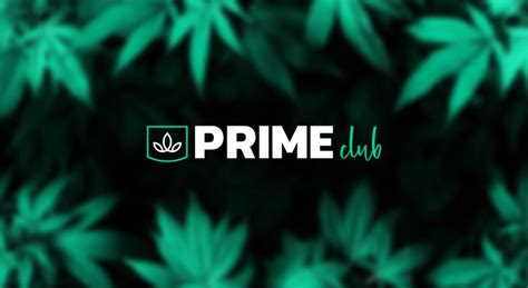 cannabis social club kassel|Cannabis Club Kassel 